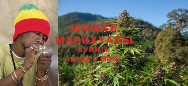прущая мука Вяземский