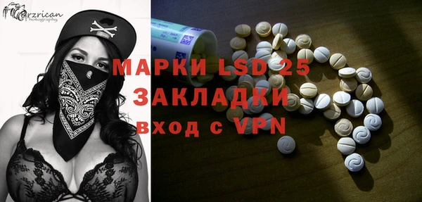 прущая мука Вяземский